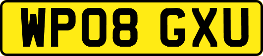 WP08GXU