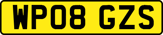 WP08GZS