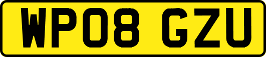 WP08GZU