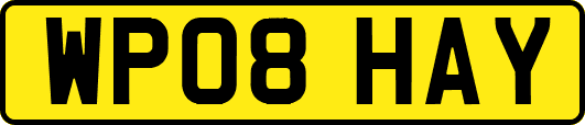 WP08HAY