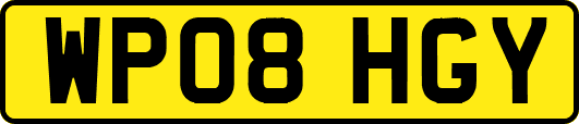 WP08HGY