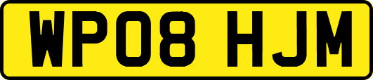 WP08HJM
