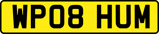 WP08HUM