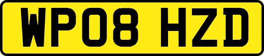 WP08HZD