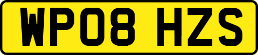 WP08HZS
