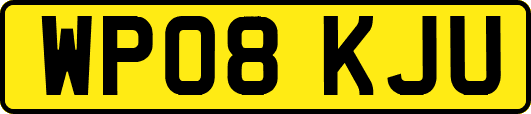 WP08KJU