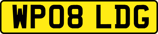 WP08LDG