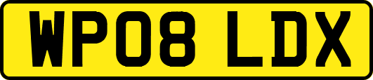 WP08LDX