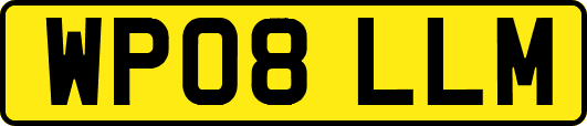 WP08LLM