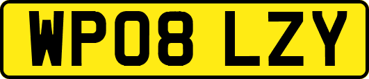 WP08LZY