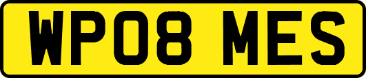 WP08MES
