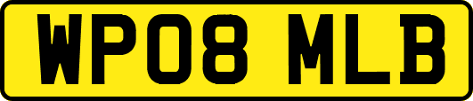 WP08MLB