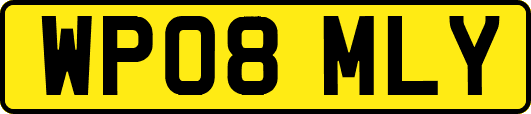 WP08MLY