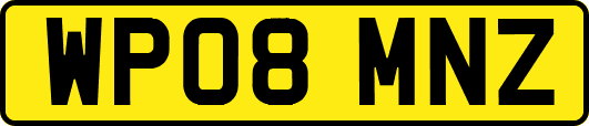 WP08MNZ