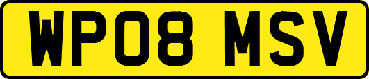 WP08MSV