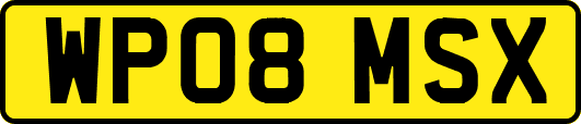 WP08MSX