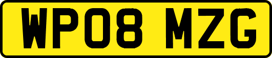 WP08MZG