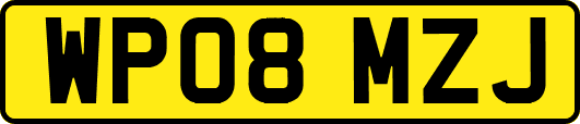 WP08MZJ