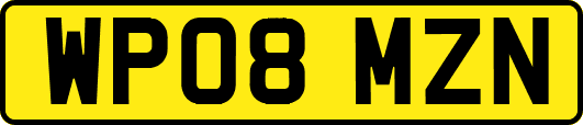 WP08MZN