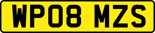WP08MZS
