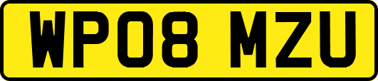 WP08MZU