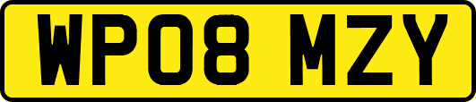 WP08MZY