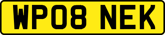 WP08NEK