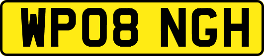 WP08NGH