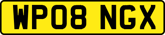 WP08NGX