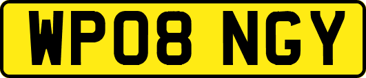 WP08NGY