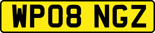 WP08NGZ