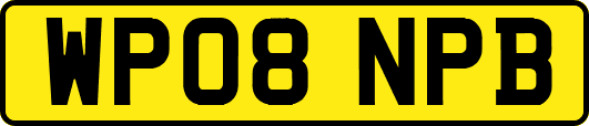 WP08NPB