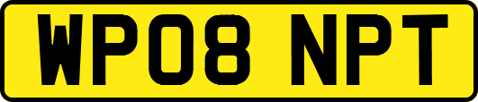WP08NPT