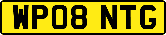 WP08NTG