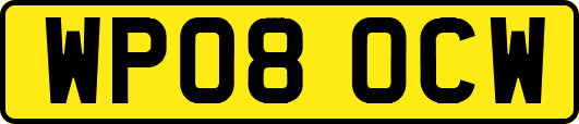 WP08OCW