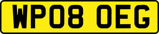 WP08OEG