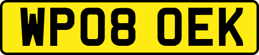 WP08OEK