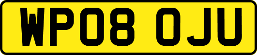 WP08OJU