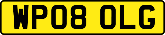 WP08OLG