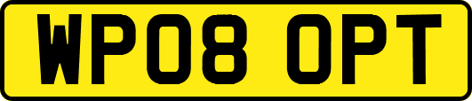 WP08OPT
