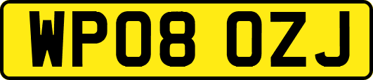 WP08OZJ