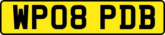 WP08PDB