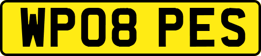 WP08PES