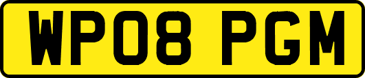 WP08PGM