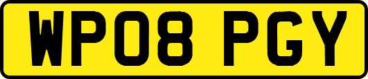 WP08PGY