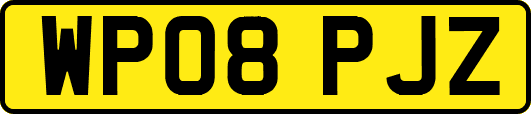 WP08PJZ