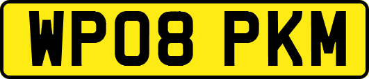 WP08PKM