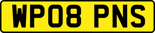WP08PNS