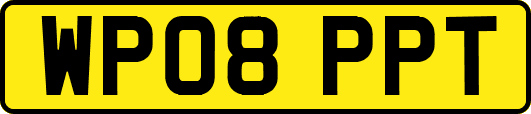 WP08PPT