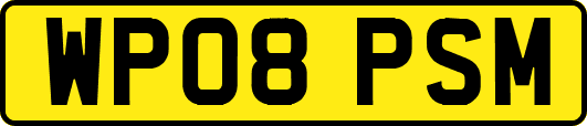 WP08PSM